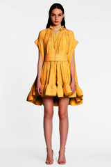 Basia Cape-effect Ruffle Mini Dress
