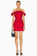 Rose-Detail Mini Dress