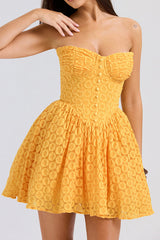 Carolina Apricot Lace Corset Mini Dress