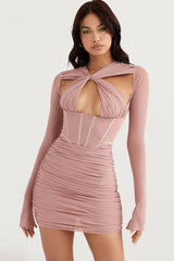 Rose Print Corset Mini Dress