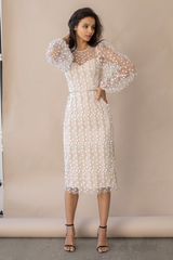inostorâ„?Embroidered Sheer Fitted Dress