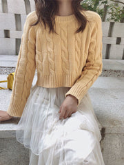 Chunky Braid Crew necks Twist Knit Pima Cotton Sweater Pullover