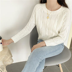 Chunky Braid Crew necks Twist Knit Pima Cotton Sweater Pullover