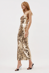 Phoenix Sequin Slip Dress