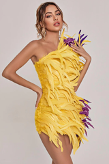 Paislee Asymmetric Feather Mini Dress
