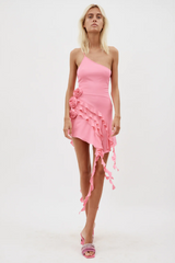 Rose-Detail Ruffled Mini Dress