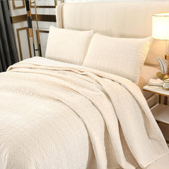 Winter Plush Quilt Set 3PCS Bedspread on the Bed Plain Embroidered Bed Cover with Shams King Size Quilted Blanket in Bed