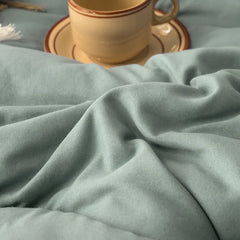 Pure Color Simple Washed Cotton Quilt Winter Quilt Core Thickened Warm Quilt Single and Double Spring and Autumn Quilt