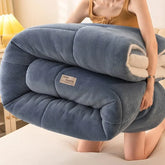 New Silk Cotton Quilt Winter Quilt and Cotton Quilt Are Thickened To Keep Warm Winter Single and Double Duvet with Plush Core