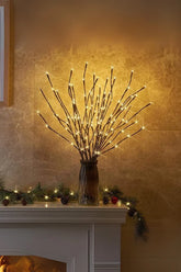 Serene Willow Branch