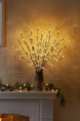 Serene Willow Branch