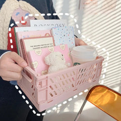 Pastel Storage Crates