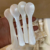 Natural Shell Spoon