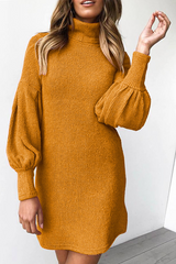 Casual Solid Patchwork Half A Turtleneck Straight Dresses