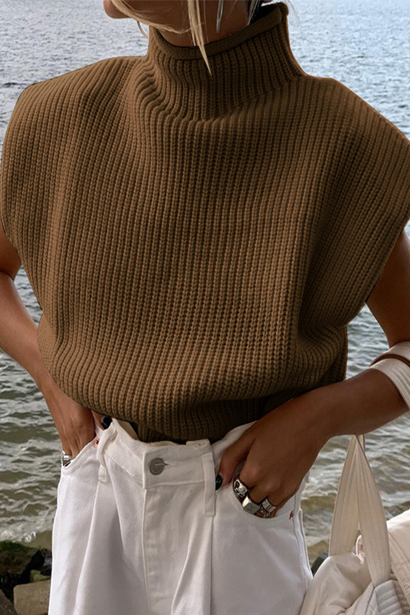 Casual Solid Turtleneck Sweaters (8 Colors)