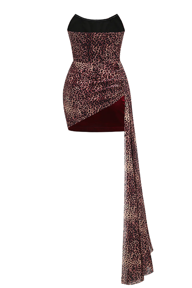 Draped Leopard Mesh Velvet Mini Dress