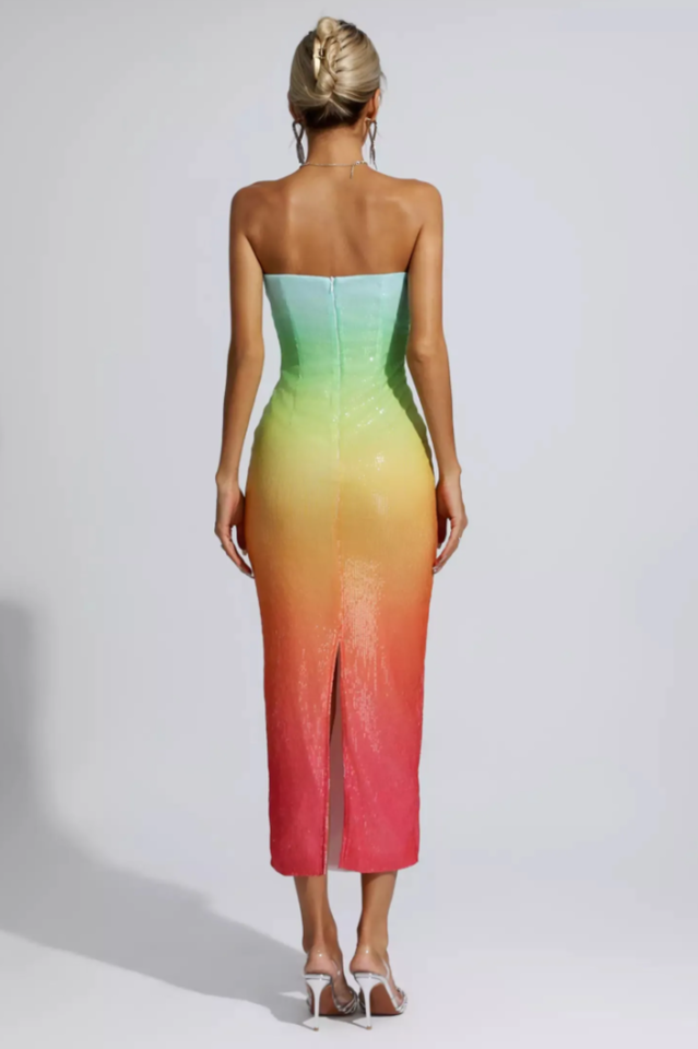 Regina Multicolored Sequin Bodycon Dress