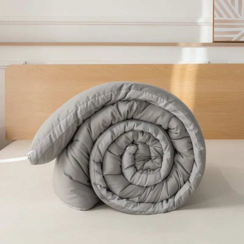 Pure Color Simple Washed Cotton Quilt Winter Quilt Core Thickened Warm Quilt Single and Double Spring and Autumn Quilt