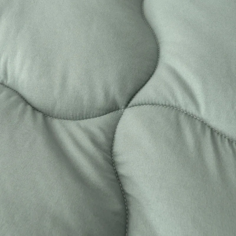 Pure Color Simple Washed Cotton Quilt Winter Quilt Core Thickened Warm Quilt Single and Double Spring and Autumn Quilt