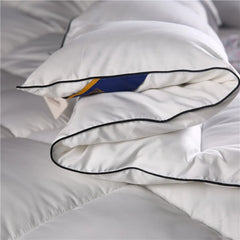 Solid Down Quilt Thickened Soft and Warm Silk Cotton Quilt for Single and Double Use Autumn and Winter Quilt Core Gift Quilt