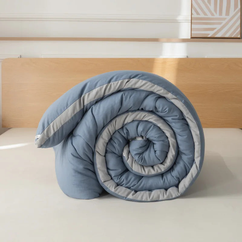 Pure Color Simple Washed Cotton Quilt Winter Quilt Core Thickened Warm Quilt Single and Double Spring and Autumn Quilt