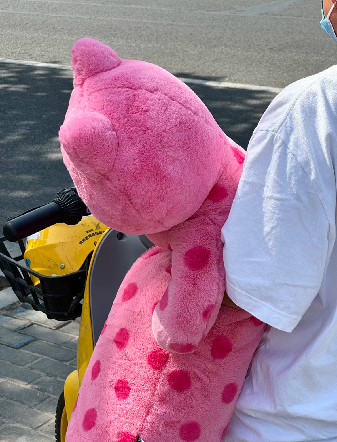Big Pink Polka Dot Cat