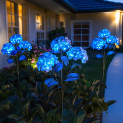 Ethere Hydrangea Glow
