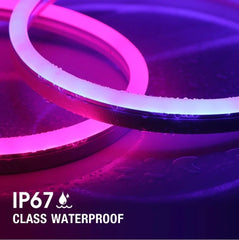 Squiggle Neon LED Lights